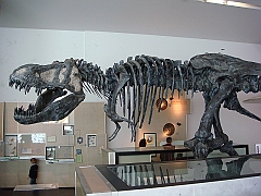 016 Cranbrook Institute of Science [2008 Jan 02]